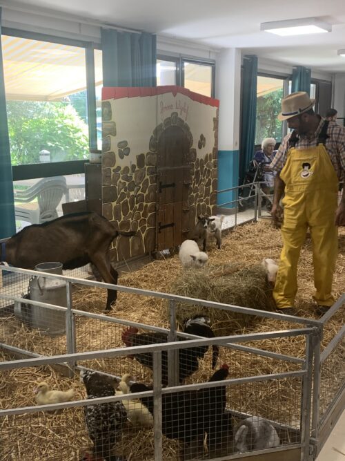 La Ferme Tilogolo s’invite à l’Ehpad pour le bonheur des résidents, familles et salariés.