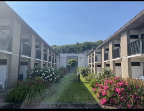 Un Ehpad fleuri 💐🌾🌷🌺