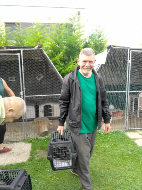 Première médiation pour les résidents de la pension de famille de Sens avec l’association AMPIMA. Ils ont  beaucoup apprécié de s’occuper des lapins et des poules. Moment de partage et rappel de souvenirs d’enfance