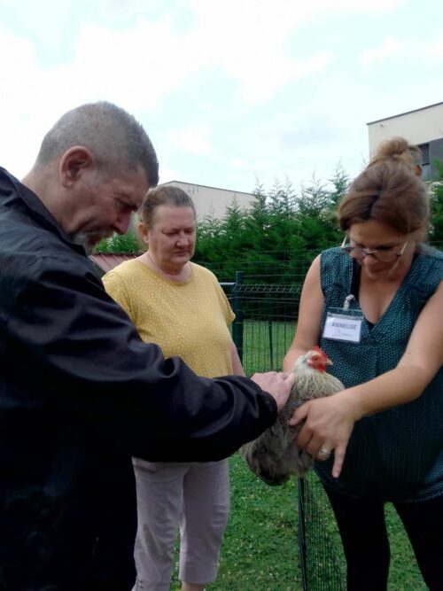 Première médiation pour les résidents de la pension de famille de Sens avec l’association AMPIMA. Ils ont  beaucoup apprécié de s’occuper des lapins et des poules. Moment de partage et rappel de souvenirs d’enfance