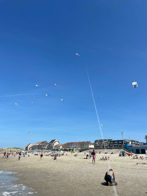 Le 08 aout 2024, sortie à Fort Mahon plage pour l’envole des cerfs-volants avec les jeunes du CAMNA 95.Une journée ensoleillé, riche en partage et un moment mémorable autour de la baignade, des danses et des éclats de rires.