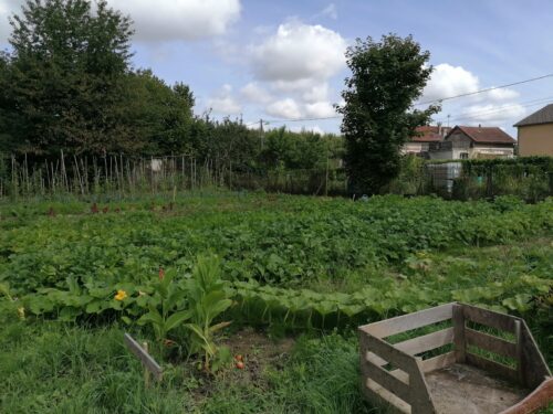 Repas partagé au très joli jardin de l’Epicerie solidaire de la ville de Sens où une de nos résidente est bénévole!