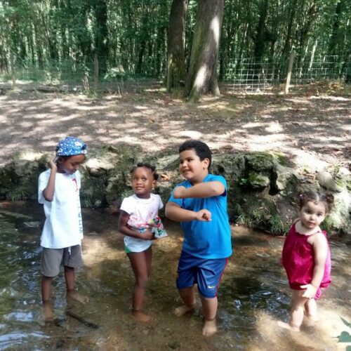 Le 31 juillet, les familles des centres Lima Netter et Saint Joseph ont eu l’occasion de visiter la ferme de Paris.Un moment convivial pour faire connaissance entre les deux structures en pleine nature.