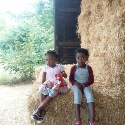 Le 31 juillet, les familles des centres Lima Netter et Saint Joseph ont eu l’occasion de visiter la ferme de Paris.Un moment convivial pour faire connaissance entre les deux structures en pleine nature.
