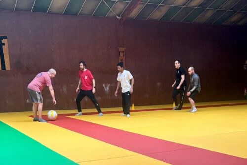 Reprise du sport adapté pour les résidents de la Maison Relais de la Blaiserie (86), qui apprécient ce moment où ils peuvent se défouler, coopérer en équipe ou s’affronter chaque semaine.