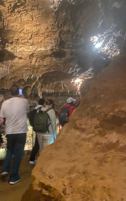 Découverte du patrimoine locale lors de la visite des Grottes de la Norée avec les résidents du CPH de Poitiers le 20/08/2026. Enthousiasme et curiosité furent les mots clés durant cette visite tant par les enfants que les adultes.