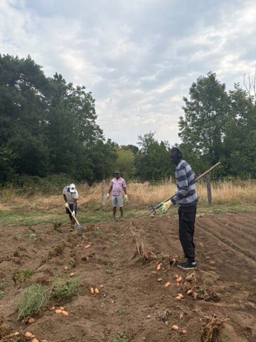 Le vendredi 31 juillet, les résidents du CADA de Poitiers se sont rendus au Jardin Solidaire pour participer à une récolte de légumes.  🌱🪏Cette activité a permis aux participants un moment d’échange et de partage.