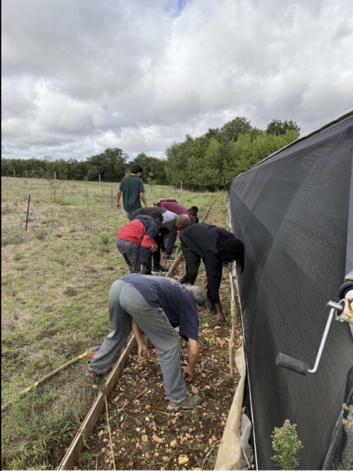 Une fois de plus, les BPI sont allés jardinés et ont passés un très bon moment ! Merci à VMS