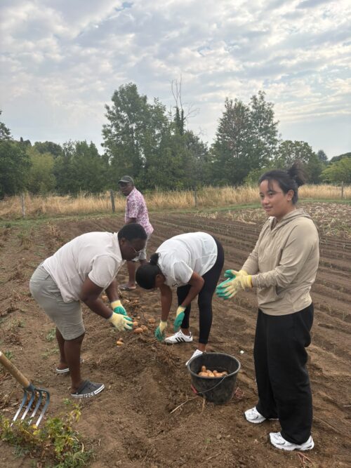Le vendredi 31 juillet, les résidents du CADA de Poitiers se sont rendus au Jardin Solidaire pour participer à une récolte de légumes.  🌱🪏Cette activité a permis aux participants un moment d’échange et de partage.